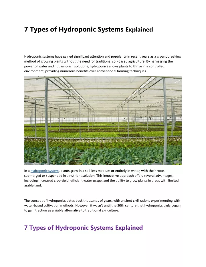 7 types of hydroponic systems explained