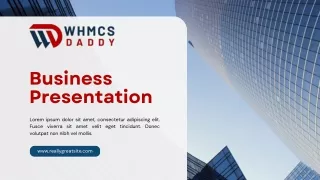 business presentation