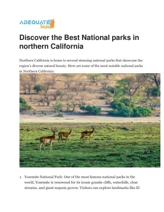 Discover the Best National parks in northern California