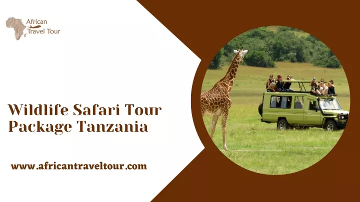 wildlife safari tour package tanzania