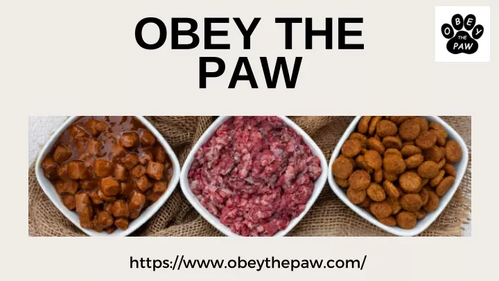 obey the paw