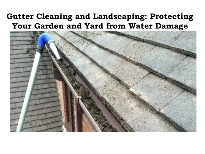 gutter cleaning and landscaping protecting your garden and yard from water damage