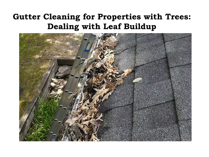 gutter cleaning for properties with trees dealing with leaf buildup