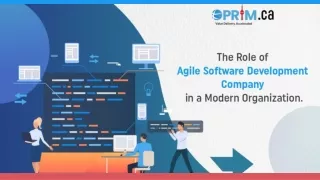 The Role of Agile Software Development Company in a Modern Organization