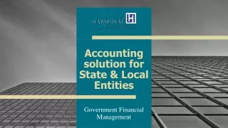 accounting solution for state local entities