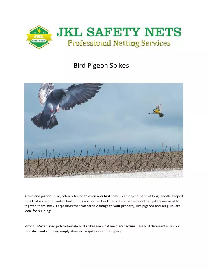 bird pigeon spikes