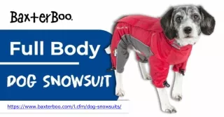 Keep Your Canine Companion Warm with a Full Body Dog Snowsuit from BaxterBoo