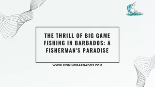Experience The Thrill of Big Game Fishing in Barbados