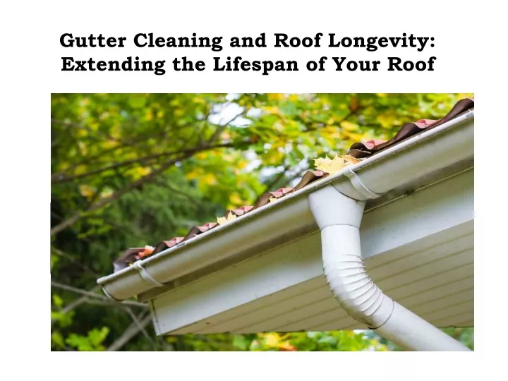 gutter cleaning and roof longevity extending the lifespan of your roof