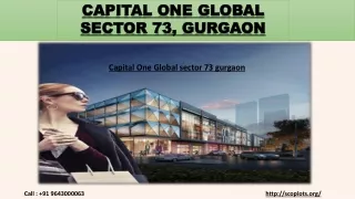 Capital One Global Sector 73, Gurgaon | Call   91 9643000063
