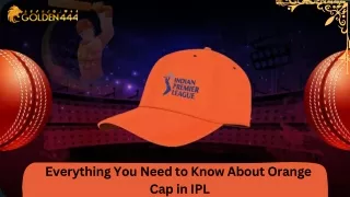 everything you need to know about orange
