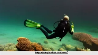 Looking for a Refreshing Adventure? How Can Scuba Diving Benefit Your Health? -