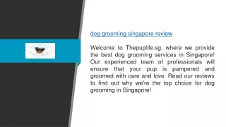 Dog Grooming Singapore Review  Thepuplife.sg