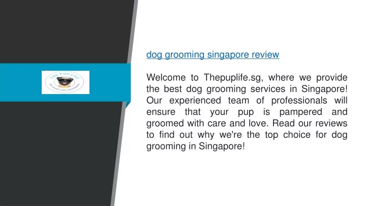 dog grooming singapore review welcome