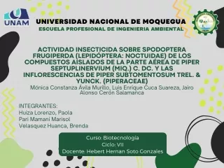 ACTIVIDAD INSECTICIDA SOBRE Spodoptera frugiperda (Lepidóptera Noctuidae) DE LOS COMPUESTOS AISLADOS DE LA PARTE AÉREA D