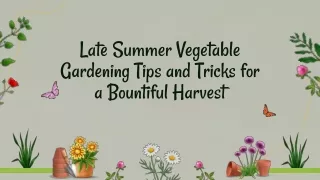 Late Summer Vegetable Gardening Tips and Tricks for a Bountiful Harvest