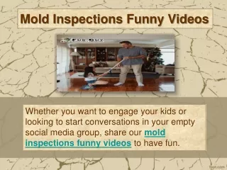mold inspections funny videos