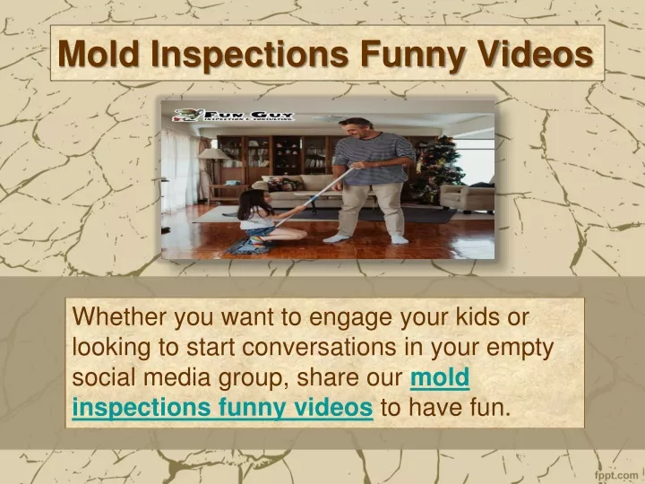 mold inspections funny videos