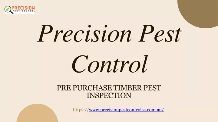 precision pest control