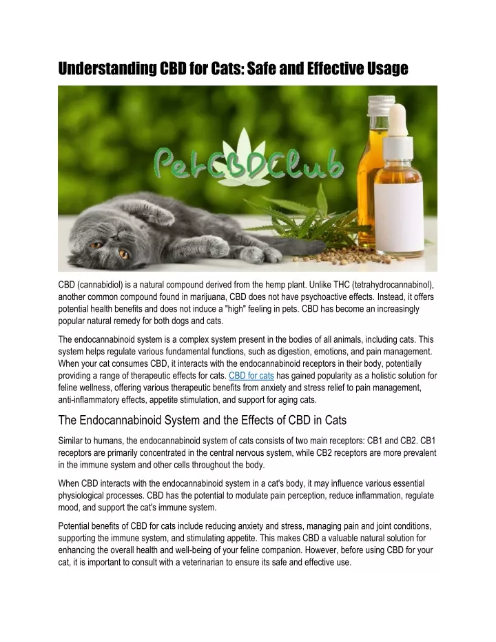 understanding cbd for cats safe and effective