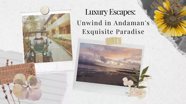 luxury escapes unwind in andaman s exquisite