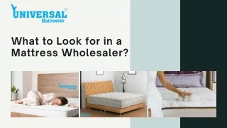 what to look for in a mattress wholesaler