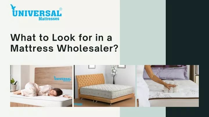 what to look for in a mattress wholesaler