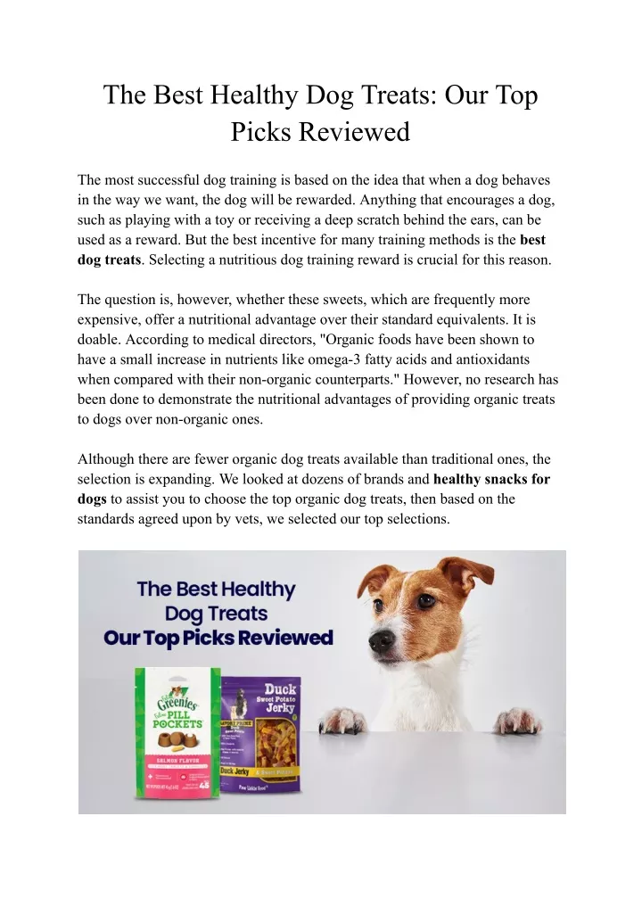 the best healthy dog treats our top picks reviewed