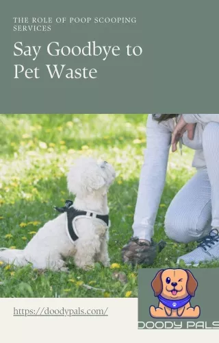 Say Goodbye to Pet Waste: The Role of Poop Scooping Services | Doody Pals