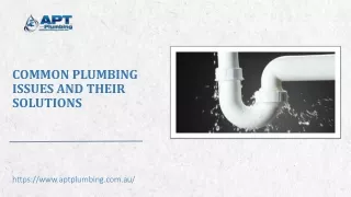 Common Plumbing Issues And Their Solutions