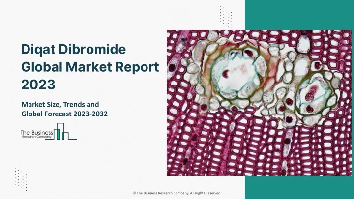 diqat dibromide global market report 2023