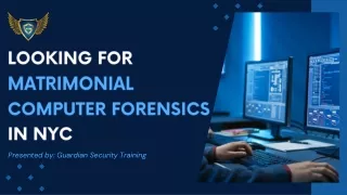 Looking for Matrimonial Computer Forensics in NYC