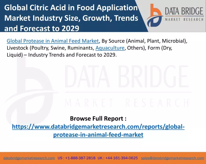 global citric acid in food application market