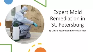 Expert Mold Remediation in St. Petersburg