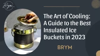 The Art of Cooling A Guide to the Best Insulated Ice Buckets in 2023