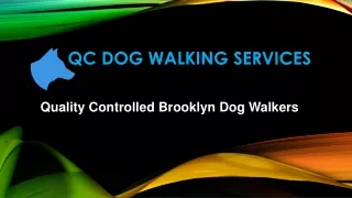 Finest Dog Walkers In Brooklyn