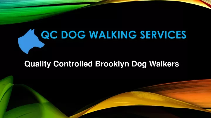 qc dog walking services