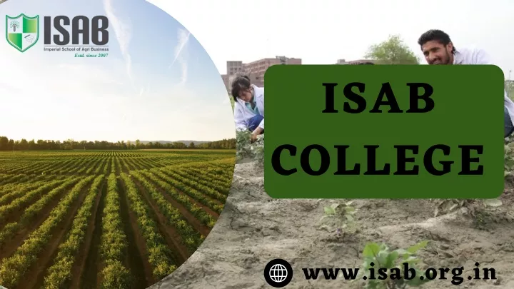 isab college