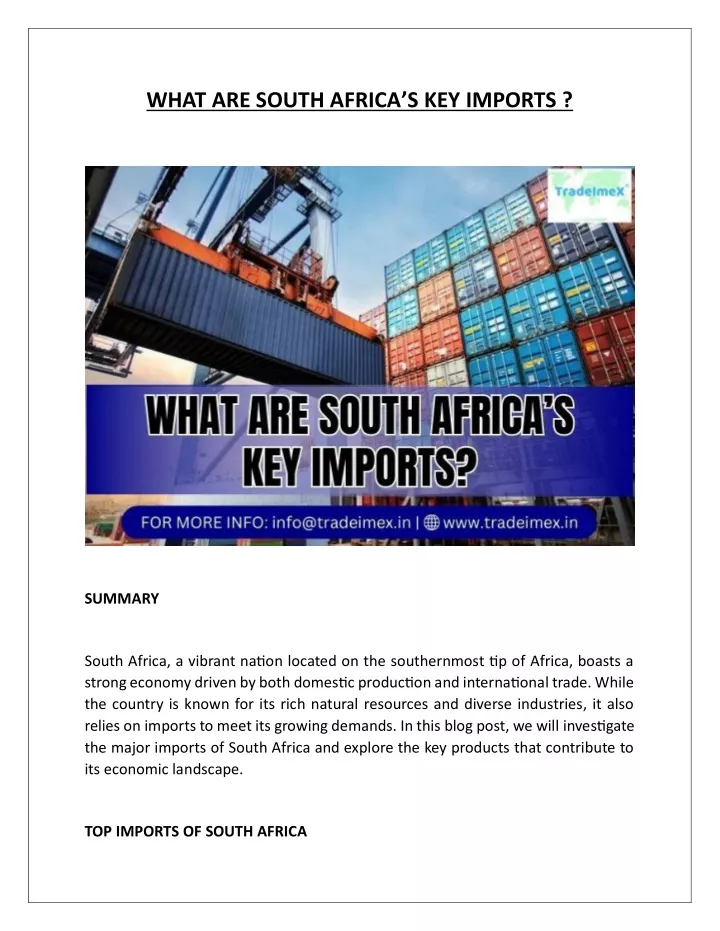 what are south africa s key imports