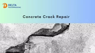 Concrete Crack Repair