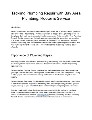 Tackling Plumbing Repair with Bay Area Plumbing, Rooter & Service
