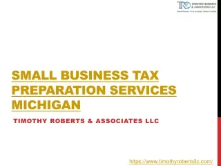 Small business tax preparation services michigan - Timothy Roberts