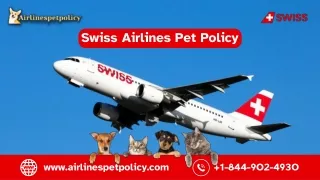 swiss airlines pet policy