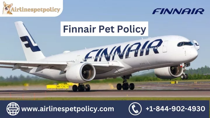 finnair pet policy