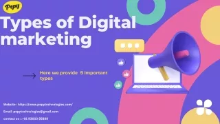 Types of Digital marketing