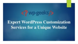 Expert WordPress Customization Services for a Unique Website