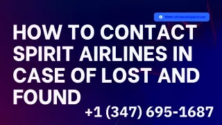 How To Contact Spirit Airlines In Case Of Lost And Found