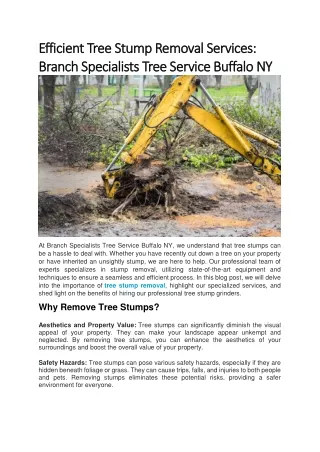 Efficient Tree Stump Removal Services