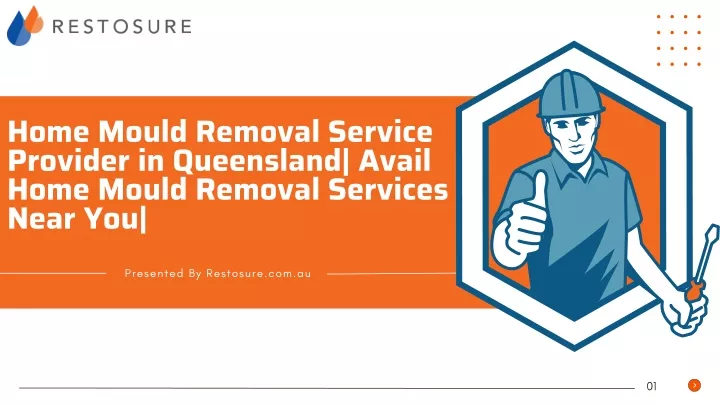 home mould removal service provider in queensland