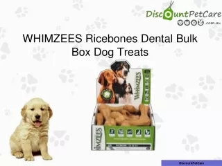 Whimzees Ricebones Dental Bulk Box Treats for Dog | Natural Teeth Cleaning